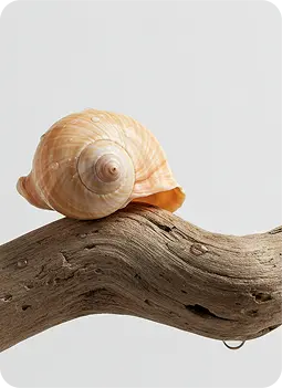 Ocean Breeze & Cedar