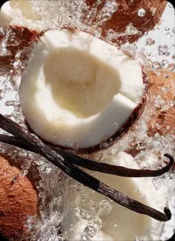 Vanilla & Coconut