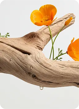 Sandalwood & Cocoa Butter