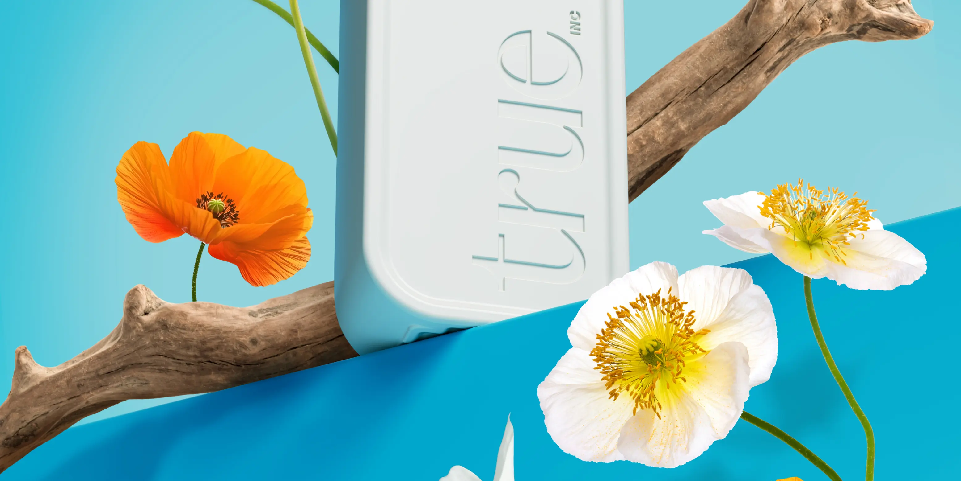 sandalwood & cocoa butter