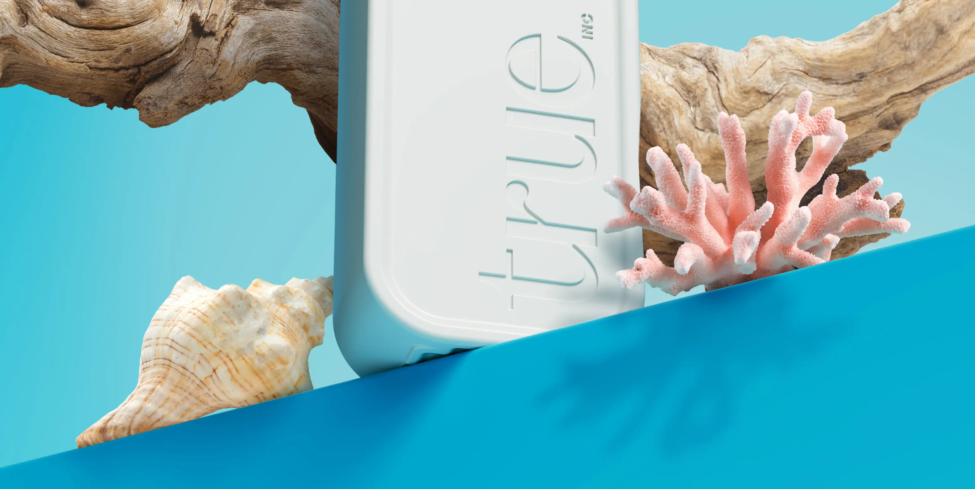 ocean breeze & cedar