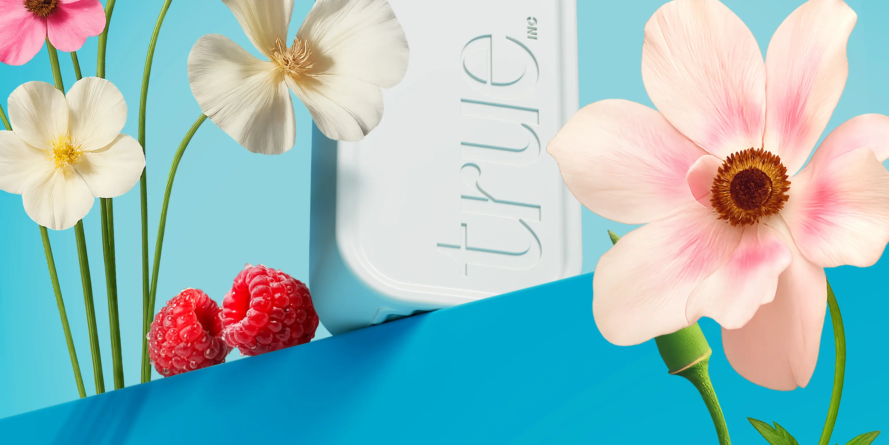 berry & vanilla cream